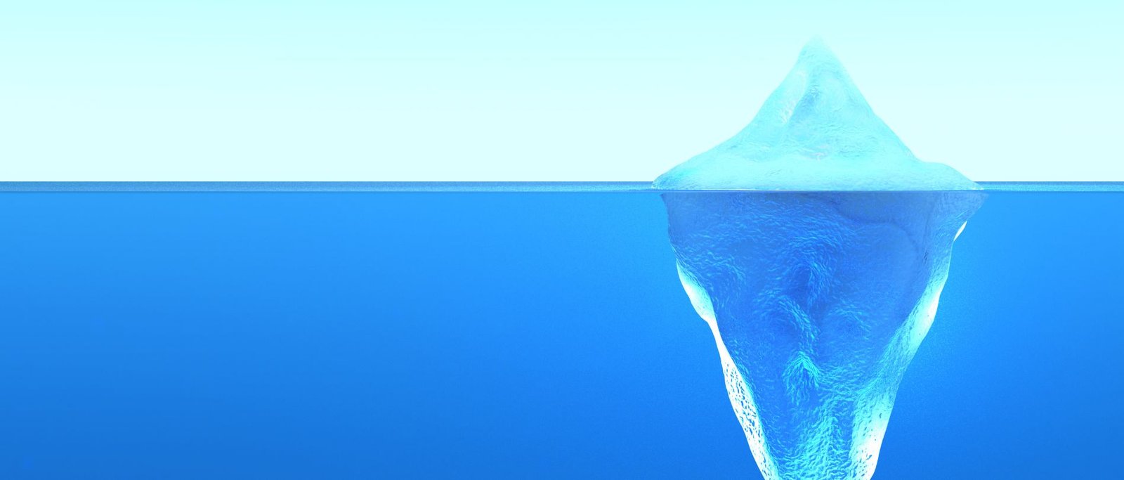 Understanding the Forces Shaping Decisions
